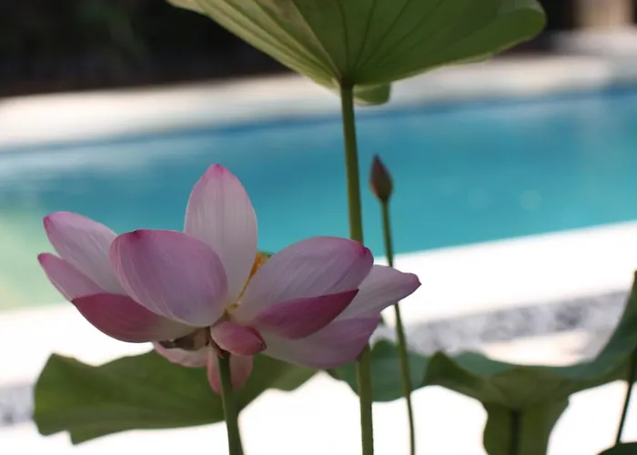 Villa Alu Lima Seminyak (Bali)